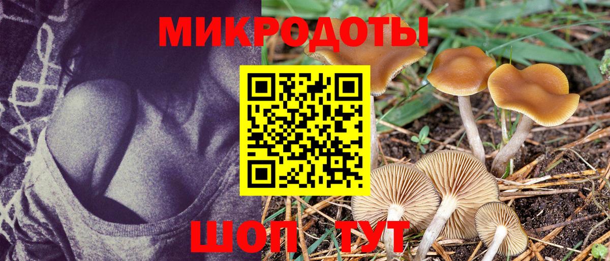 Каспийск  Галлюциногенные грибы Cubensis  Вход с VPN 