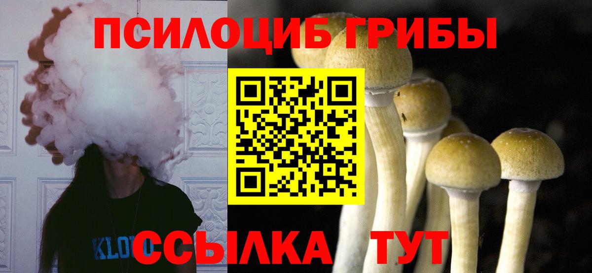 Псилоцибиновые грибы MAGIC MUSHROOMS Каспийск